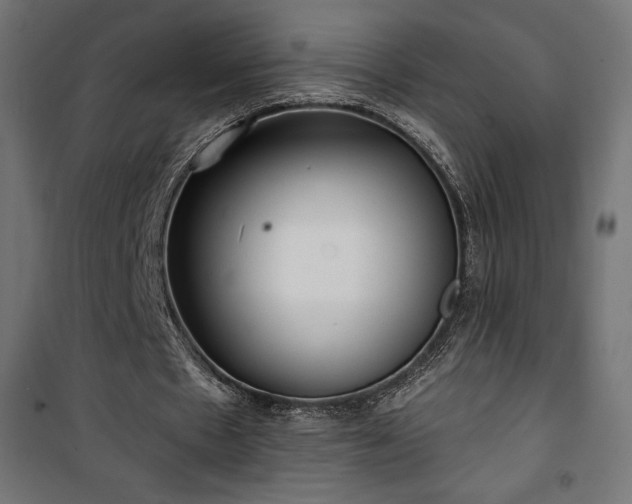 X0000101470481200807141354