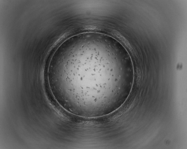X0000101470482200807141354
