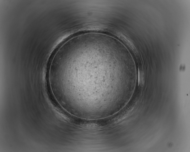 X0000101470483200807141354