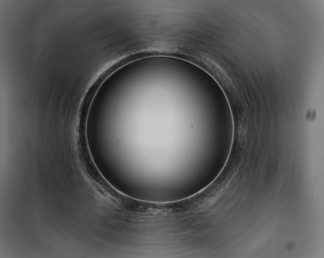 X0000101470484200807141354