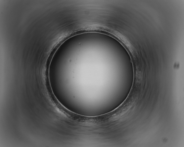 X0000101470485200807141354