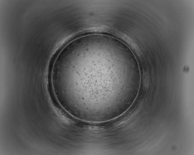 X0000101470486200807141354