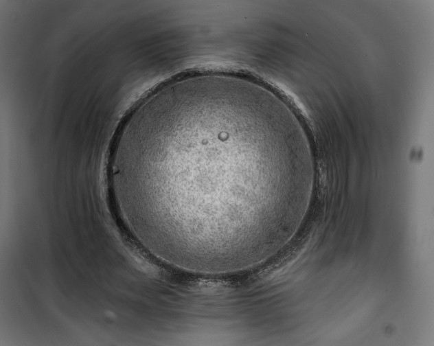 X0000101470487200807141354