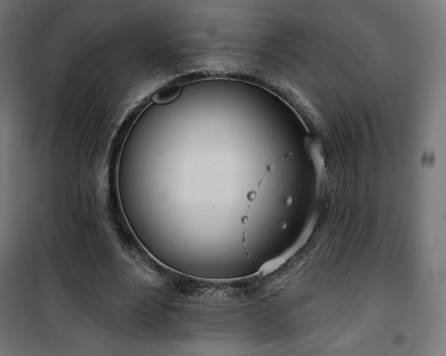 X0000101470488200807141354