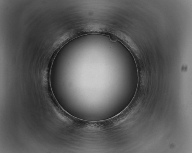 X0000101470489200807141354