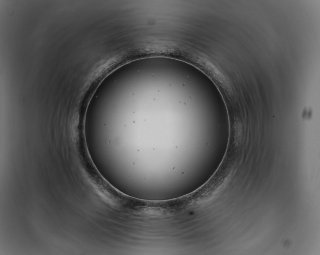 X0000101470490200807141354