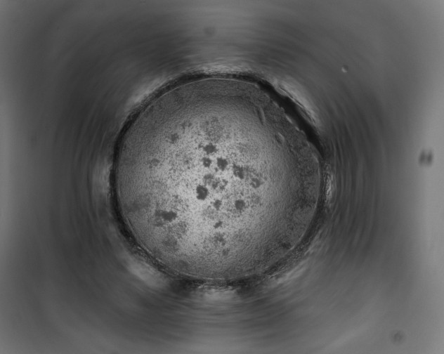 X0000101470491200807141354