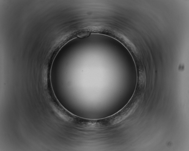 X0000101470493200807141354