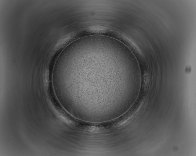 X0000101470494200807141354