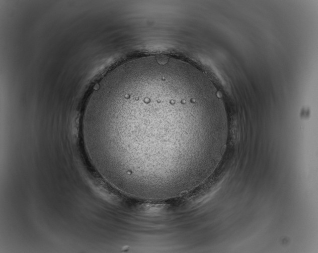 X0000101470495200807141354