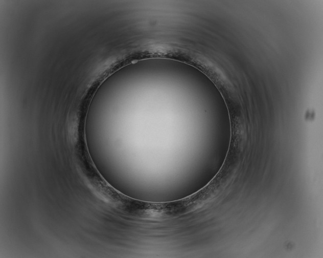 X0000101470496200807141354