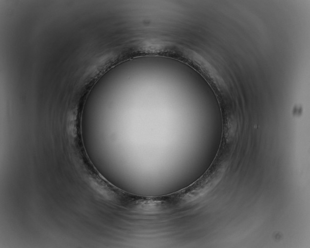 X0000101470497200807141354