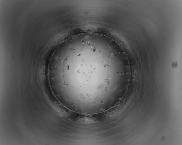 X0000101470498200807141354
