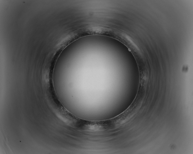 X0000101470500200807141354