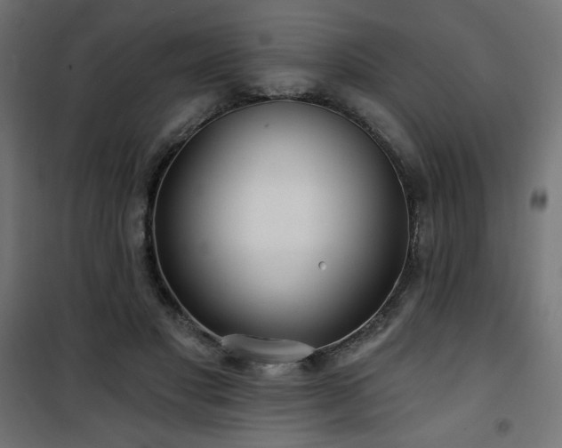 X0000101470501200807141354