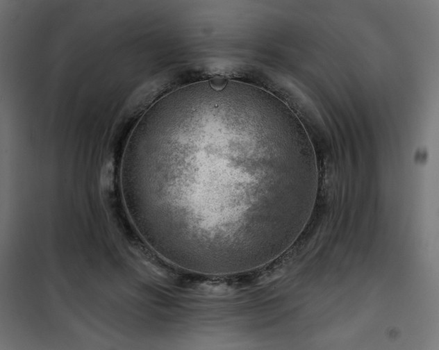 X0000101470502200807141354