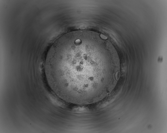 X0000101470503200807141354