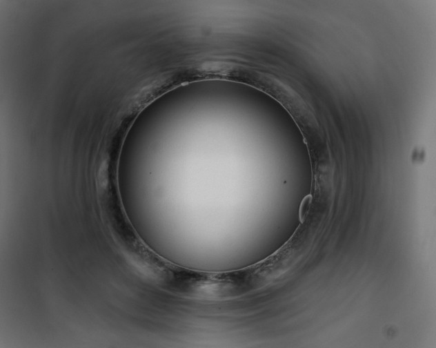 X0000101470504200807141354