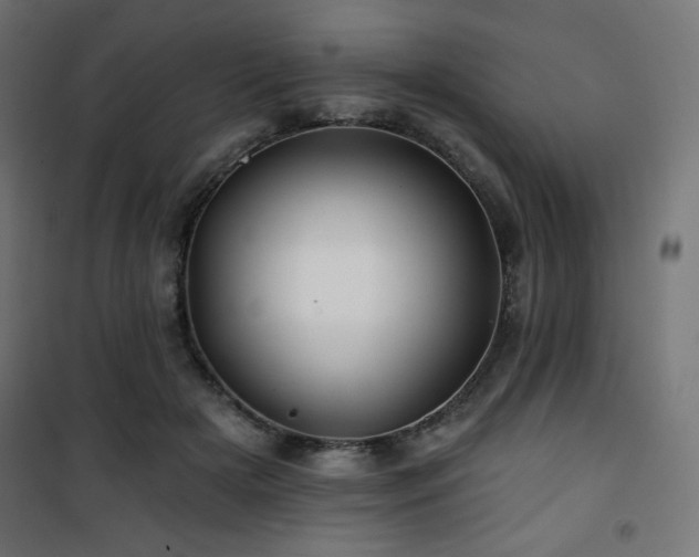 X0000101470505200807141354