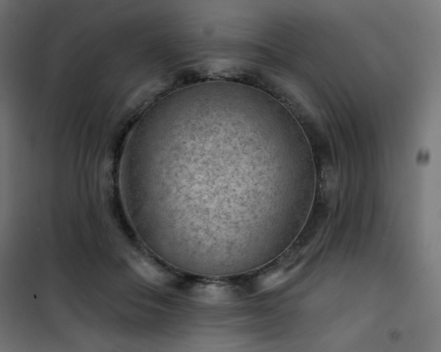 X0000101470506200807141354