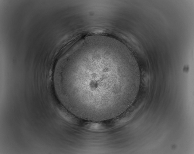 X0000101470507200807141354