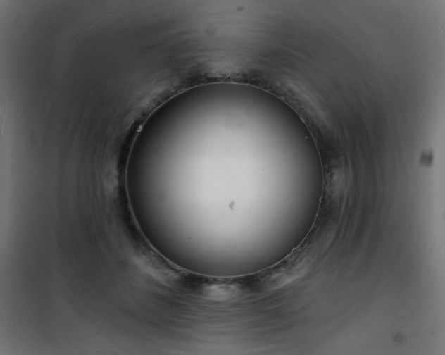 X0000101470508200807141354