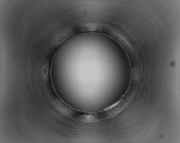 X0000101470509200807141354