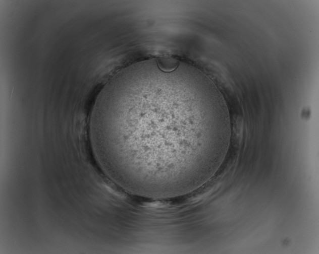 X0000101470511200807141354