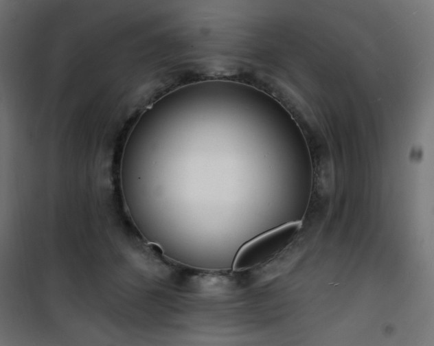 X0000101470512200807141354