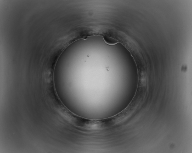 X0000101470514200807141354