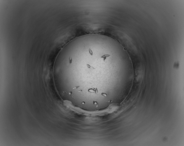 X0000101470515200807141354