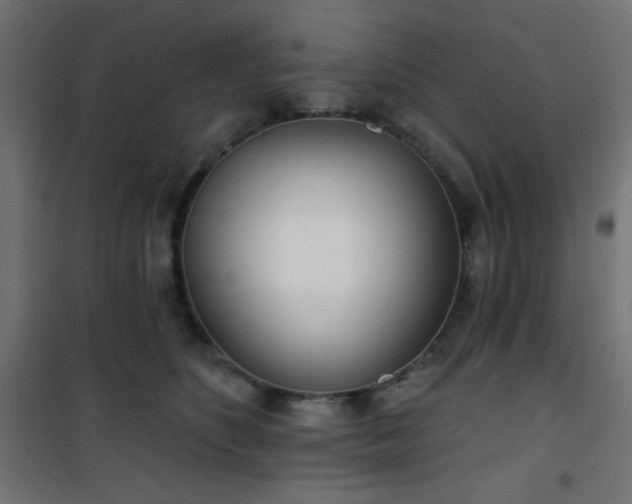 X0000101470516200807141354