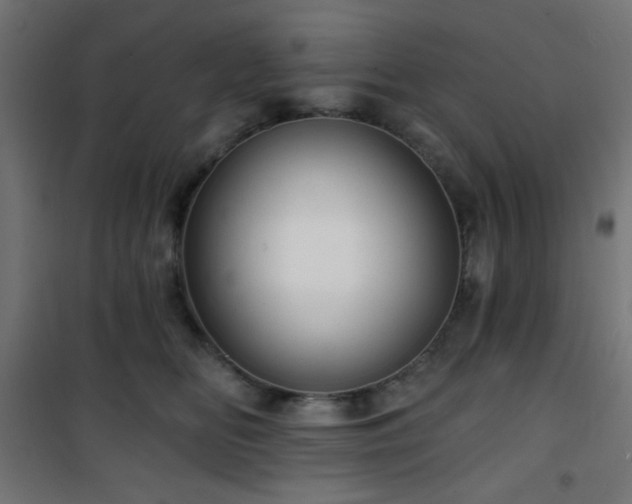 X0000101470518200807141354