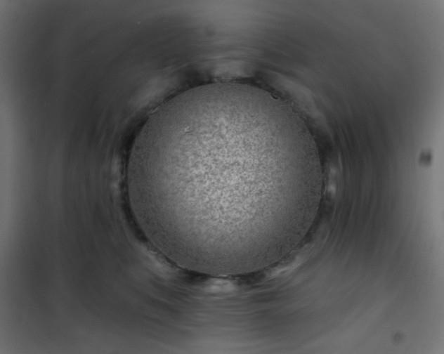 X0000101470519200807141354