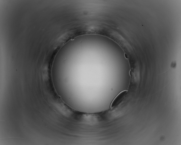 X0000101470520200807141354