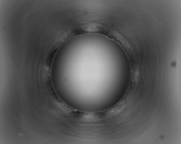 X0000101470521200807141354