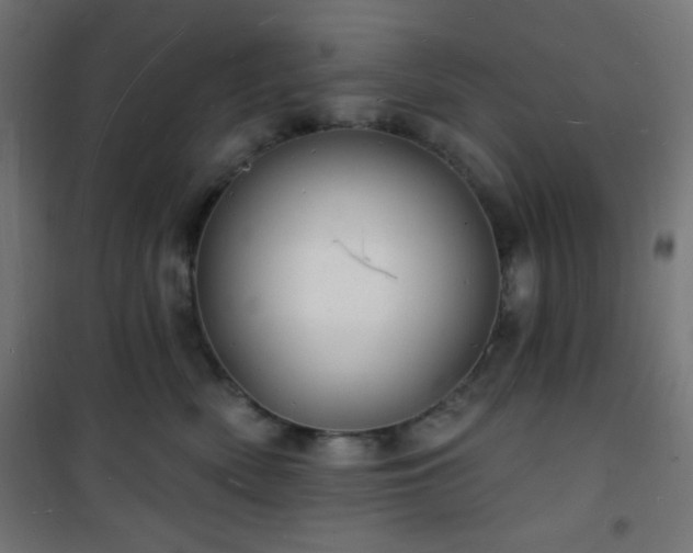 X0000101470522200807141354