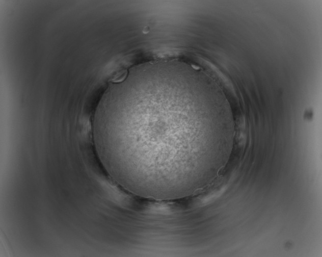 X0000101470523200807141354