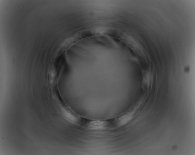 X0000101470526200807141354