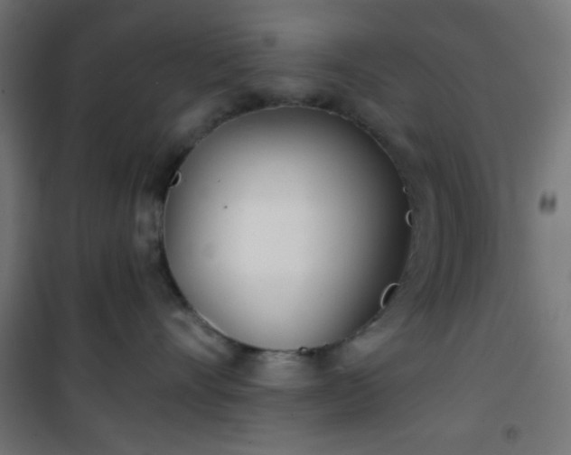 X0000101470528200807141354