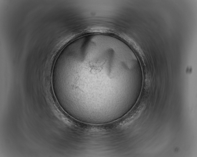 X0000101470529200807141353