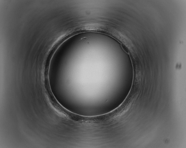 X0000101470530200807141353