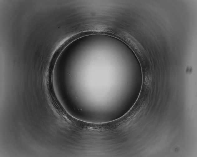 X0000101470532200807141353