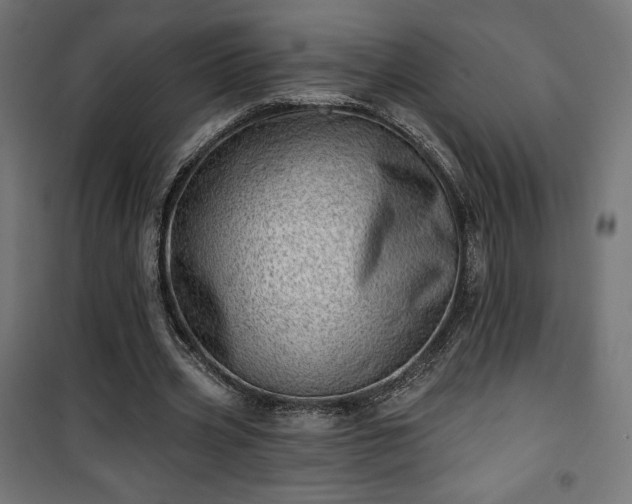 X0000101470533200807141353