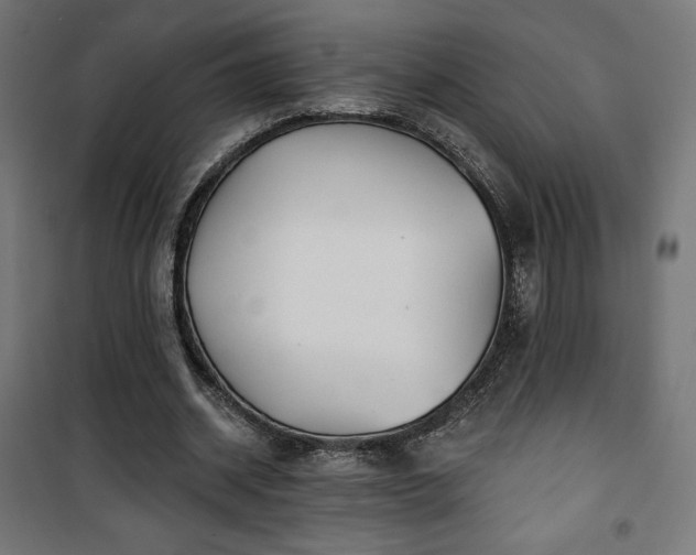 X0000101470534200807141353