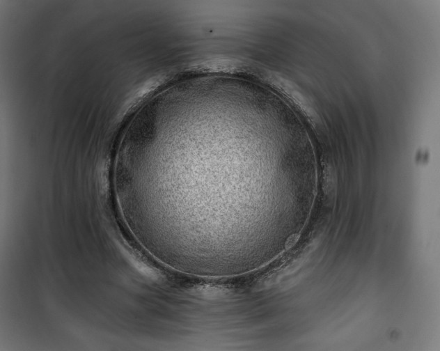 X0000101470537200807141353