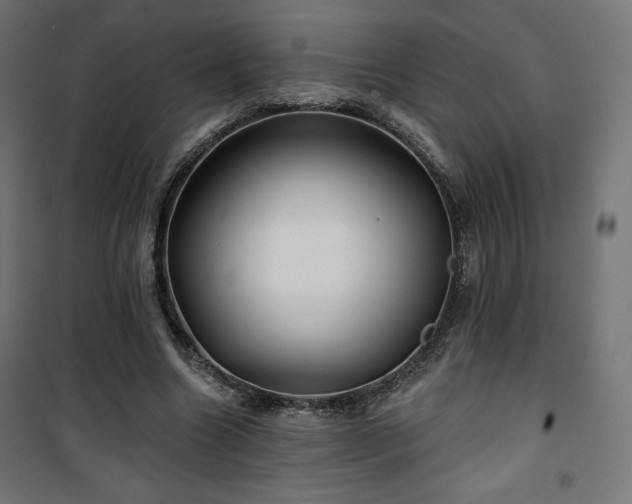 X0000101470538200807141353