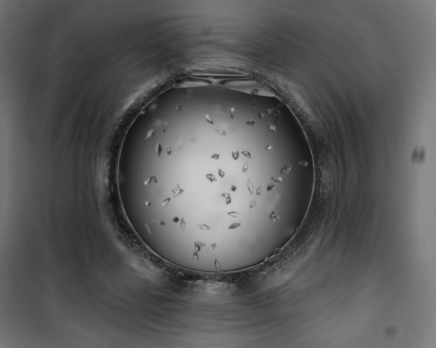 X0000101470539200807141353