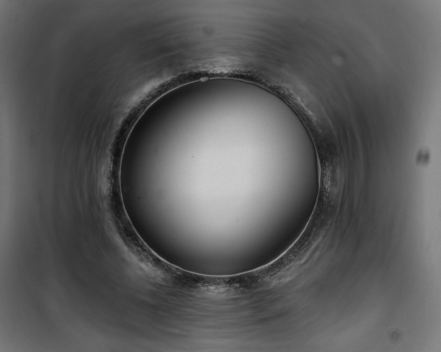 X0000101470540200807141353