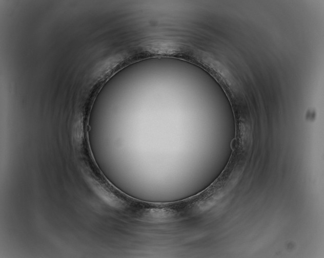 X0000101470541200807141353